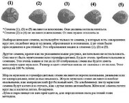 IMG_7969.jpeg IMG_7969.jpeg