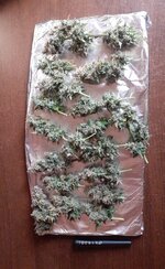 харв.jpg харв.jpg