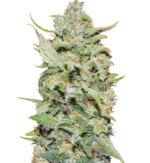 1760786024438.png 1760786024438.png