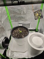 IMG_20251020_215708.jpg IMG_20251020_215708.jpg