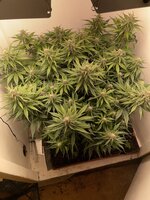 IMG_1054.jpeg IMG_1054.jpeg