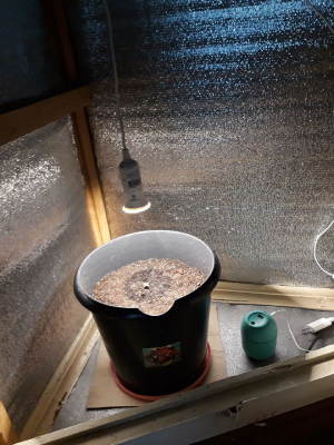 1652012315683.png 1652012315683.png