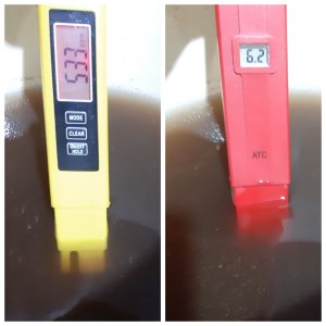 20220510 кокос из маяка.jpg 20220510 кокос из маяка.jpg