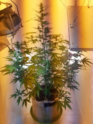 20220511_141404.jpg 20220511_141404.jpg