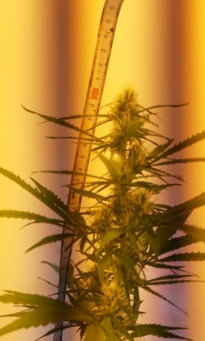 20220510_215210.jpg 20220510_215210.jpg