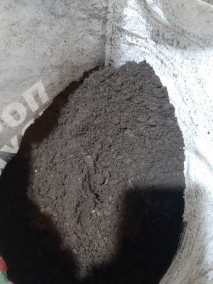 20220511_194142.jpg 20220511_194142.jpg