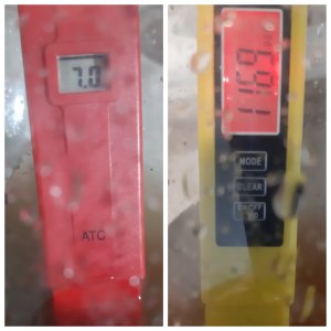 MyCollages.jpg MyCollages.jpg