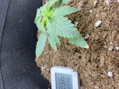 89BFCB1D-621D-426A-9658-F6C7A4285A65.jpeg 89BFCB1D-621D-426A-9658-F6C7A4285A65.jpeg