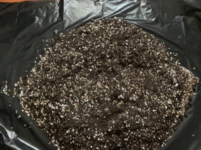 C0D9C8EB-5713-44D3-82CF-59A9C05C4295.jpeg C0D9C8EB-5713-44D3-82CF-59A9C05C4295.jpeg