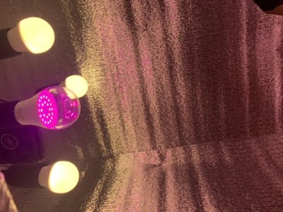 C39AD204-281B-47D2-B33F-737BC024338C.jpeg C39AD204-281B-47D2-B33F-737BC024338C.jpeg