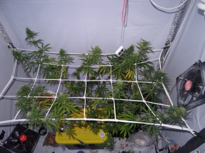 DSC00228.jpg DSC00228.jpg