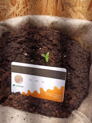 photo_2022-05-16_19-23-29.jpg photo_2022-05-16_19-23-29.jpg