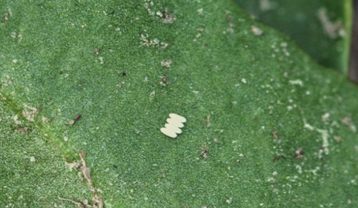 1652792359270.png 1652792359270.png