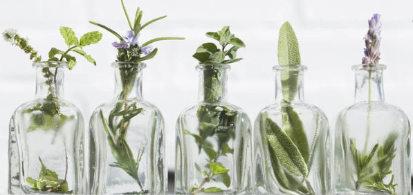 1652870193074.png 1652870193074.png