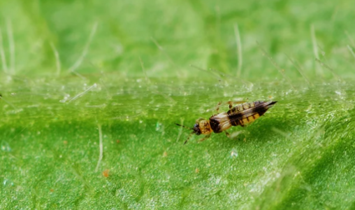 1652894974098.png 1652894974098.png