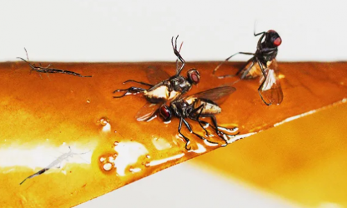 1652895024278.png 1652895024278.png