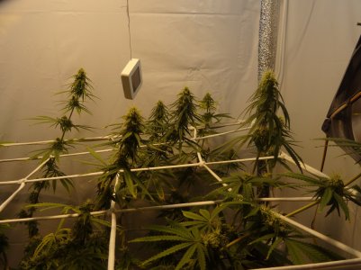 DSC00254.jpg DSC00254.jpg