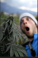 IMG_1140.jpeg IMG_1140.jpeg