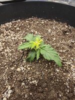 IMG_20251023_092610.jpg IMG_20251023_092610.jpg