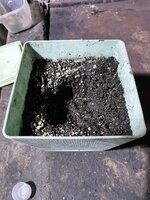 IMG_1234.jpeg IMG_1234.jpeg