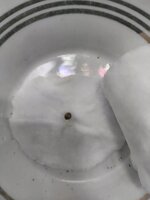 IMG_20251024_101249.jpg IMG_20251024_101249.jpg