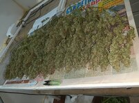 20251025_184241.jpg 20251025_184241.jpg