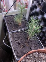 IMG_1378.jpeg IMG_1378.jpeg