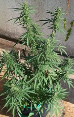 12121212121212121212121212121212.jpg 12121212121212121212121212121212.jpg