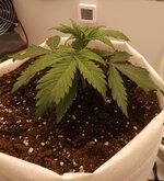 DSCF3404.JPG DSCF3404.JPG