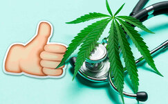 mnenie-potrebitelej-ob-ispolzovanii-marihuany-dlya-oblegcheniya-simptomov-prostudy-i-grippa__q...jpg mnenie-potrebitelej-ob-ispolzovanii-marihuany-dlya-oblegcheniya-simptomov-prostudy-i-grippa__q...jpg