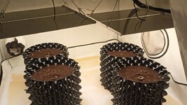 dcd5199a-73ab-4980-a69a-cff33acb9c8f.jpg dcd5199a-73ab-4980-a69a-cff33acb9c8f.jpg