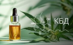 Chto-takoe-KBD__tNjQ3H2kwuRJXcco.jpg Chto-takoe-KBD__tNjQ3H2kwuRJXcco.jpg