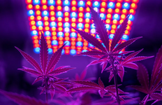 1762626649145.png 1762626649145.png