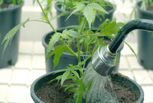 1762626705657.png 1762626705657.png