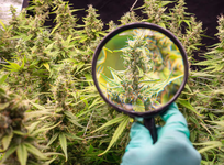 1762626761087.png 1762626761087.png