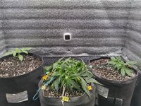 IMG_20251111_125305.jpg IMG_20251111_125305.jpg