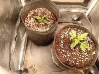 photo_2025-11-11_22-19-55 (2).jpg