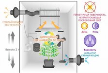 бокс воздух.jpeg бокс воздух.jpeg