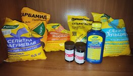 IMG_20251113_155432.jpg IMG_20251113_155432.jpg