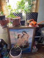 IMG_1604.jpeg IMG_1604.jpeg