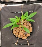 Day 15 (16.11).jpg Day 15 (16.11).jpg