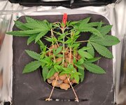 Day 20 (21.11).jpg Day 20 (21.11).jpg