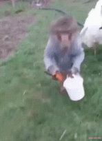 sticker (1)_resized_148x205.gif sticker (1)_resized_148x205.gif