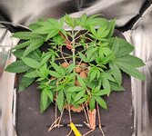 Day 22 (23.11).jpg Day 22 (23.11).jpg