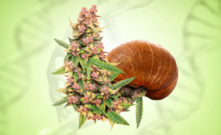 1764154704283.png 1764154704283.png