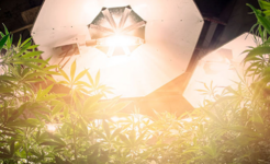 1764154712631.png 1764154712631.png