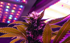 1764154719602.png 1764154719602.png