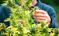 1764154735564.png 1764154735564.png