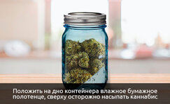 polozhite-na-dno-kontejnera-vlazhnoe-bumazhnoe-polotence__wcjyh6EIaIyPsd5i.jpg polozhite-na-dno-kontejnera-vlazhnoe-bumazhnoe-polotence__wcjyh6EIaIyPsd5i.jpg