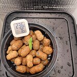 Практика выращивания на гидропонике